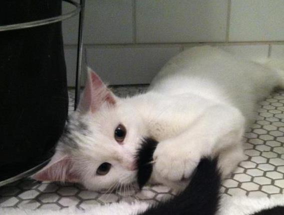 485887_622486380619_1821995595_n